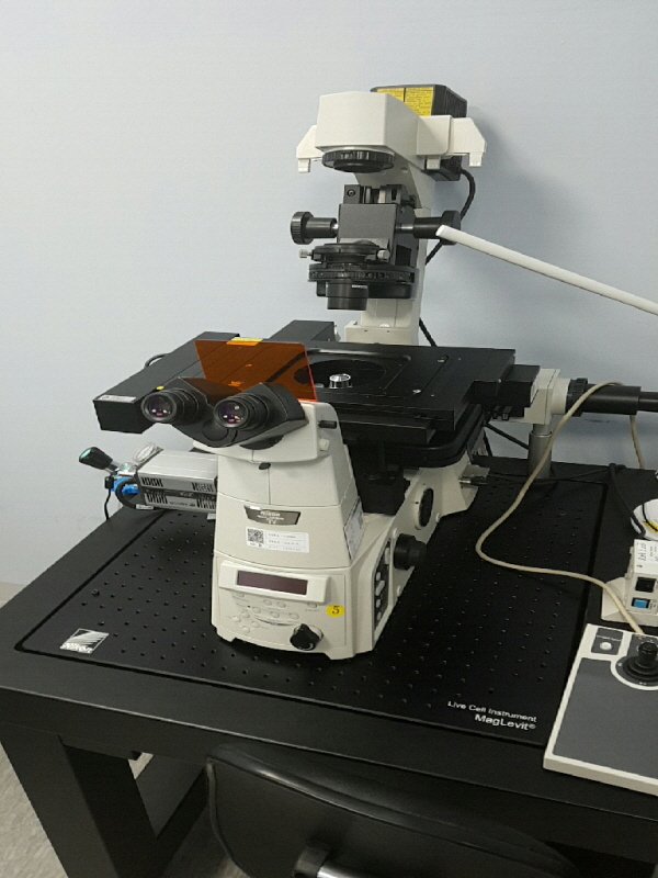 자동도립형광현미경