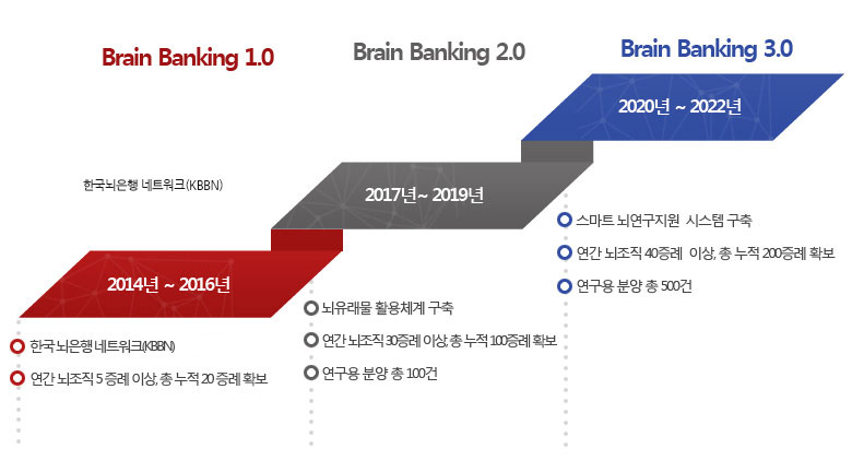 1단계2014년 ~ 2016년 Brain Banking 1.0(한국 뇌은행 협력네트워크(KBBN) 구축,연간 뇌조직 5 증례 이상, 총 누적 20 증례 확보),2단계 2017년~ 2019년 Brain Banking 2.0 (뇌유래물 활용체계 구축, 연간 뇌조직 30증례 이상, 총 누적 100증례 확보,연구용 분양 총 100건), 3단계 2020년 ~ 2022년 Brain Banking 3.0(스마트 뇌연구지원  시트템 구축
,연간 뇌조직 40증례  이상, 총 누적 200증례 확보,연구용 분양 총 500건)