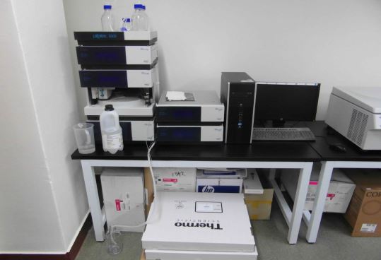 액체크로마토그래피 시스템(HPLC)