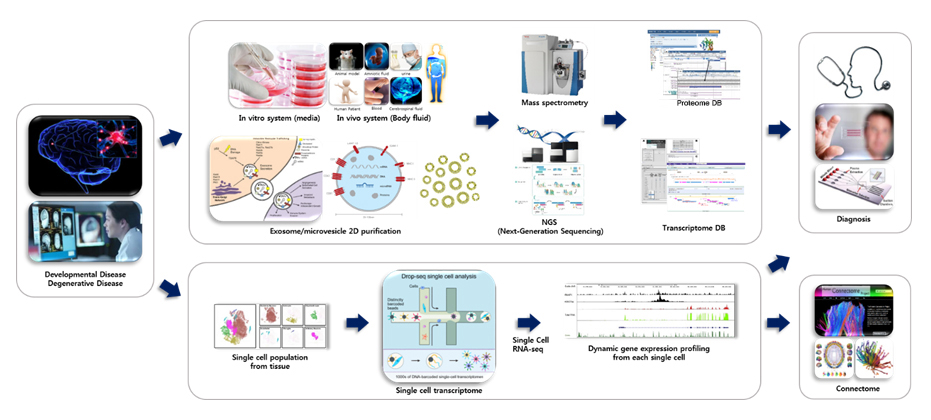 Platform development of diagnostic biomarker in brain disease
