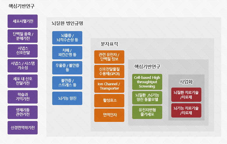 핵심기반연구 안에 뇌질환 병인규명 안에 분자표적 안에 실용화연구 안에 사업화 , 핵심기반연구(세포사멸기전,단백질 응축 /분해기전,시냅스 신호전달,시냅스 / 시스템
가소성,세포 내 신호 전달기전,학습과 기억기전,생체리듬 관련기전,신경면역학기전),뇌질환 병인규명(뇌졸중 / 뇌척수손상 등,치매 / 파킨슨병 등,우울증 / 불안증 등,불면증 /스트레스 등,뇌기능 항진) ,분자표적(관련 유전자 / 단백질 정보,신호전달물질
수용체(GPCR),Ion Channel / Transporter,활성효소,면역인자), 실용화연구(Cell-based High throughtput Screening, 뇌질환  /뇌기능 항진 동물모델, 유전자변형 줄기세포), 사업화(뇌질환 치료기술 /치료제,뇌기능 치료기술/치료제)