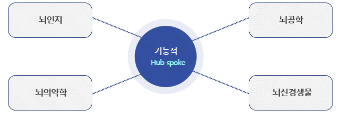 기능적 Hub-spoke : 뇌인지 + 뇌의약학 + 뇌공학 + 뇌신경생물