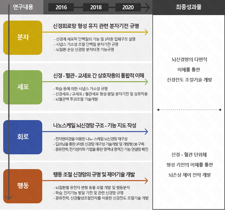 분자에 대한 2016년~2020년 연구내용 : 신경회로망 형성 유지 관련 분자기전 규명(신경계 세포막 단백질의 기능 및 3차원 입체구조 설명,시냅스 가소성 조절 단백질 분자기전 규명,뇌질환 손상 신경망 분자타겟 기능규명) 최종성과물 뇌 신경망의 다면적 이해를 통한 신경전도 조절기술 개발,세포에 대한 2016년~2020년 연구내용 : 신경 - 혈관 - 교세포 간 상호작용의 통합적 이해(학습 등에 의한 시냅스 가소성 규명,신경세포 / 교세포 / 혈관세포 형성-발달 분자기전 및 상호작용,뇌혈관벽 투과조절 기술개발) 최종성과물 뇌 신경망의 다면적 이해를 통한 신경전도 조절기술 개발,회로에 대한 2016년~2020년 연구내용 : 나노스케일 뇌신경망 구조 - 기는지도 작성(전저현미경을 이용한 나노- 스케일 뇌 신경망 재구성,딥러닝을 통한 3차원 신경망 재구성 기술개발 및 개방형 DB 구축,광유전학, 전기생리학 기법을 통한 영역내 영역간 기능 연결망 확인), 최종성과물 신경 - 혈관 단위체 형성 기전의 이해를 통한 뇌손상 제어 전략 개발,행동에 대한 2016년~2020년 연구내용 : 행동 조절 신경망의 규명 및 제어기술 개발(뇌 질환별 유전자 변형 동물 모댈 개발 및 행동분,학습, 인지기능 발달 기전 및 관련 신경망 규명,광유전학, 신경활성조절인자를 이용한 신경전도 조절기술 개발) 최종성과물 신경 - 혈관 단위체 형성 기전의 이해를 통한 뇌손상 제어 전략 개발