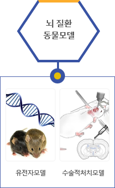 뇌 질환 동물모델 : 유전자모델, 수술적처치모델