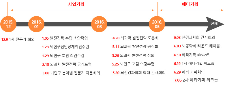 12.9 1차 전문가 회의, 1.5 발전전략 수립 초안 작업, 1.28 뇌연구집단 공개의견수립, 1.29 뇌연구 포럼 의견수렴, 2.18 뇌과학 발전전략 공개포럼, 3.8 뇌연구 분야별 전문가 자문회의, 4.28 뇌과학 발전전략 토론회, 5.11 뇌과학 발전전략 공청회, 5.25 뇌연구 포럼 의견수렴, 5.26 뇌과학 발전전략 심의, 5.30 뇌신경과학회 확대 간사회의, 6.3 뇌공학회 라운드 테이블, 6.3 신경과학회 간사학회, 6.10 예타기획Kick-off회의, 6.22 1차 예타기획 워크숍, 6.29 예타 기획회의, 7.6 2차 예타 기획 워크숍