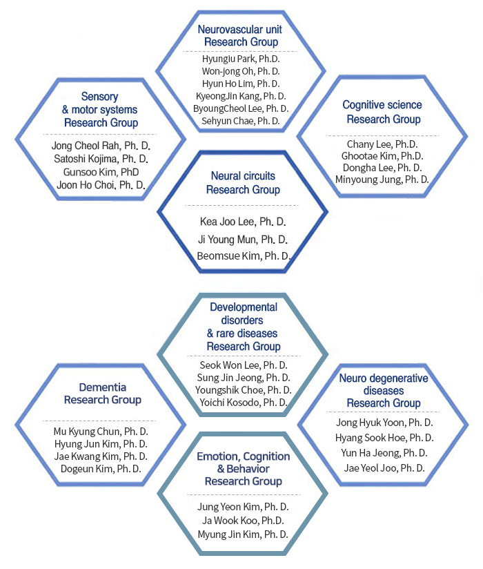 Sensory & motor systems Research Group,Neurovascular unit Research Group,Cognitive science Research Group,Aging neuroscience Research Group,Neural circuits Research Group,Developmental disorders & rare diseases Research Group,Emotion, Cognition & Behavior Research Group,Dementia Research Group,Neuro degenerative diseases Research Group