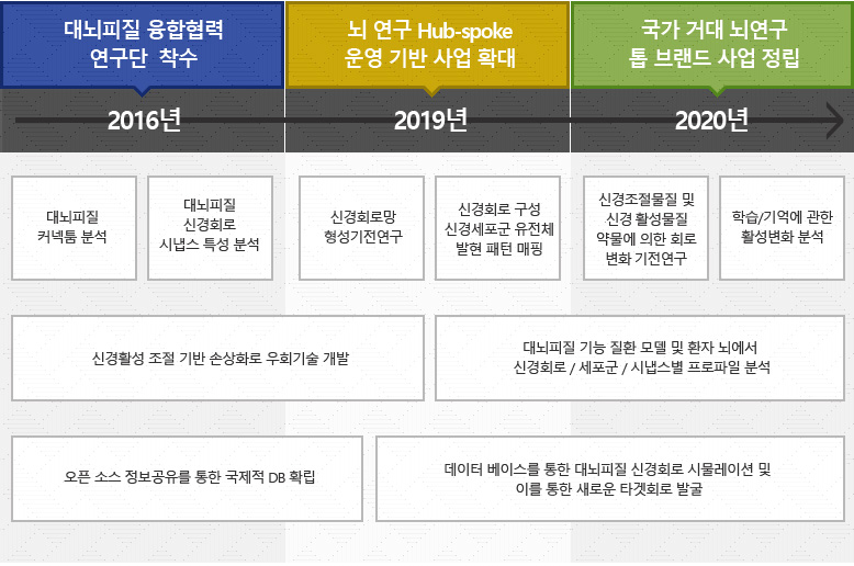2016년→ 대뇌피질 융합협력 연구단 착수(대뇌피질커넥터 분석,대뇌피질신경회로시냅스 특성 분석,신경활성 조절 기반 손상화로 우회기술 개발,오픈 소스 정보공유를 통한 국제적 DB 확립), 2019년→ 뇌 연구 Hub-spoke 운영 기반 사업 확대(신경회로망 형성기전연구, 신경회로 구성 신경세포군 유전체 발현 패턴 매핑, 신경활성 조절기반 손상화로 우회기술 개발, 대뇌피질 기능 질환 모델 및 환자 뇌에서 신경회로/세포군/시냅스별 프로파일 분석,데이터 베이스를 통한 대뇌 피질 신경회로 시뮬레이션 및 이를 통한 새로운 타겟회로 발굴), 2020년→ 국가 거대 뇌연구 톱 브랜드 사업 정립(신경조절물질 및 시경 활성물질 약물에 의한 회로 변화 기적연구, 학습/기억에 관한 활성변화 분석,대뇌피질 기능 질환 모델 및 환자 뇌에서 신경회로 / 세포군 / 시냅스별 프로파일 분석,데이터 베이스를 통한 대뇌피질 신경회로 시물레이션 및 이를 통한 새로운 타겟회로 발굴)