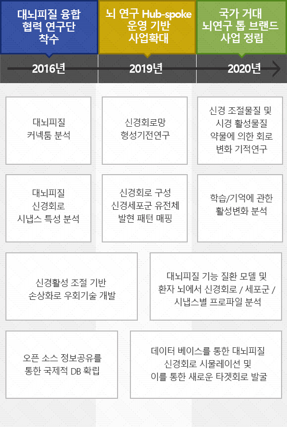 2016년→ 대뇌피질 융합협력 연구단 착수(대뇌피질커넥터 분석,대뇌피질신경회로시냅스 특성 분석,신경활성 조절 기반 손상화로 우회기술 개발,오픈 소스 정보공유를 통한 국제적 DB 확립), 2019년→ 뇌 연구 Hub-spoke 운영 기반 사업 확대(신경회로망 형성기전연구, 신경회로 구성 신경세포군 유전체 발현 패턴 매핑, 신경활성 조절기반 손상화로 우회기술 개발, 대뇌피질 기능 질환 모델 및 환자 뇌에서 신경회로/세포군/시냅스별 프로파일 분석,데이터 베이스를 통한 대뇌 피질 신경회로 시뮬레이션 및 이를 통한 새로운 타겟회로 발굴), 2020년→ 국가 거대 뇌연구 톱 브랜드 사업 정립(신경조절물질 및 시경 활성물질 약물에 의한 회로 변화 기적연구, 학습/기억에 관한 활성변화 분석,대뇌피질 기능 질환 모델 및 환자 뇌에서 신경회로 / 세포군 / 시냅스별 프로파일 분석,데이터 베이스를 통한 대뇌피질 신경회로 시물레이션 및 이를 통한 새로운 타겟회로 발굴)